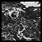Black Marble
