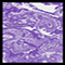 Purple Marble
