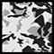 Snow Camo